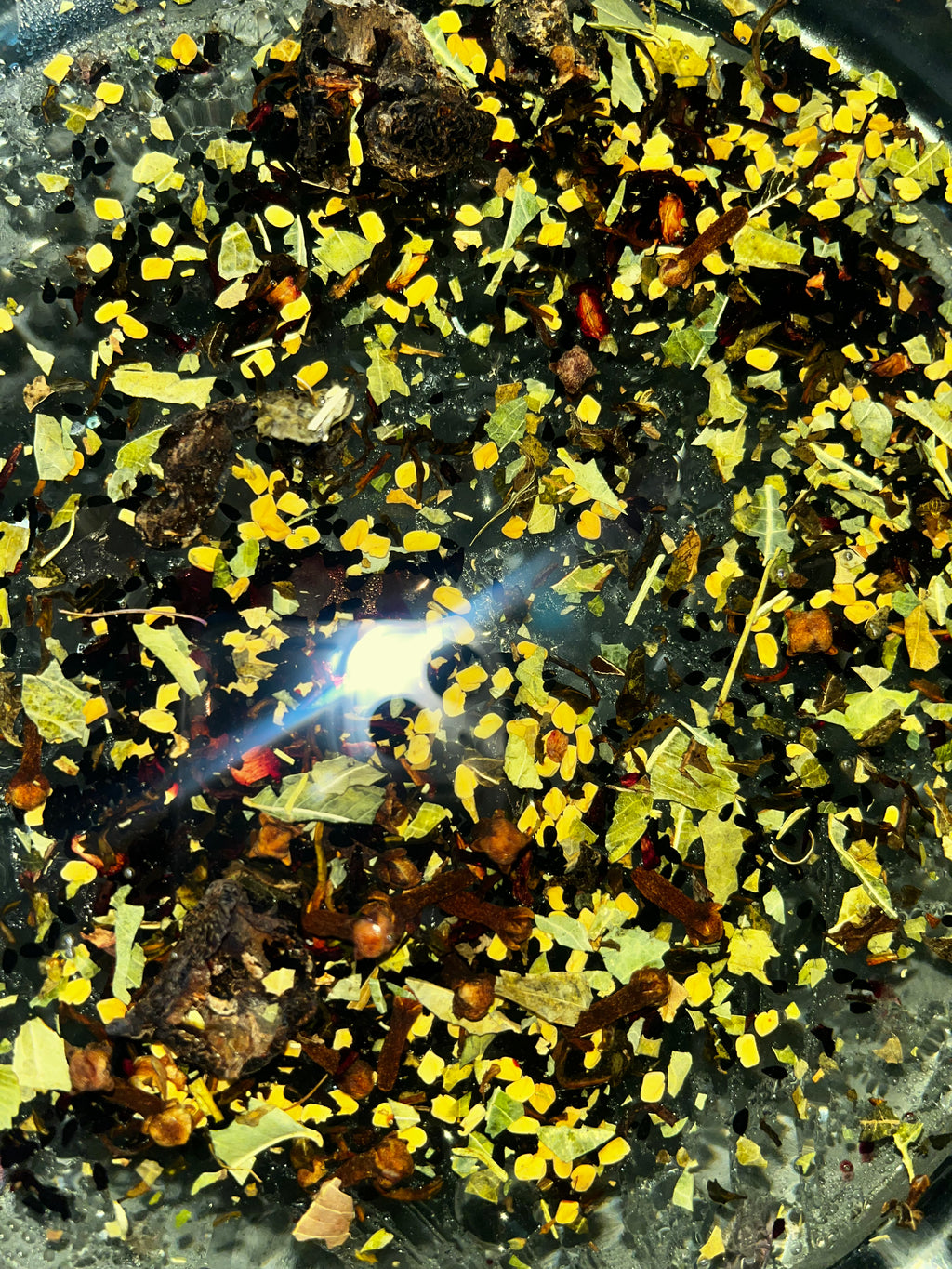 Bundle of Infused Herbal Hair Growth Oils