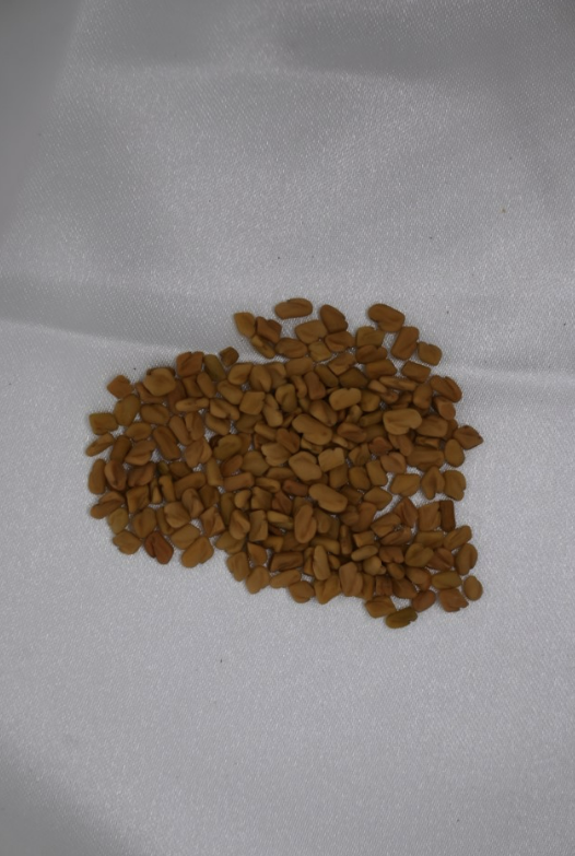 Duo Infused Herbal Hair Growth Oils