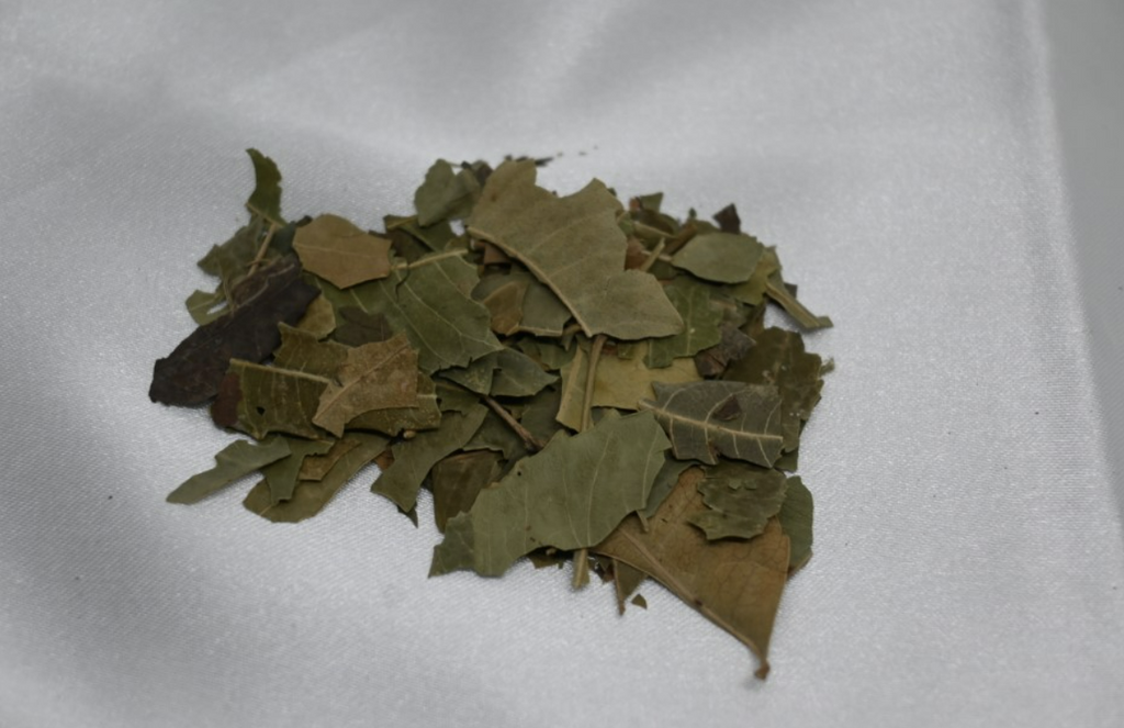 Bundle of Infused Herbal Hair Growth Oils