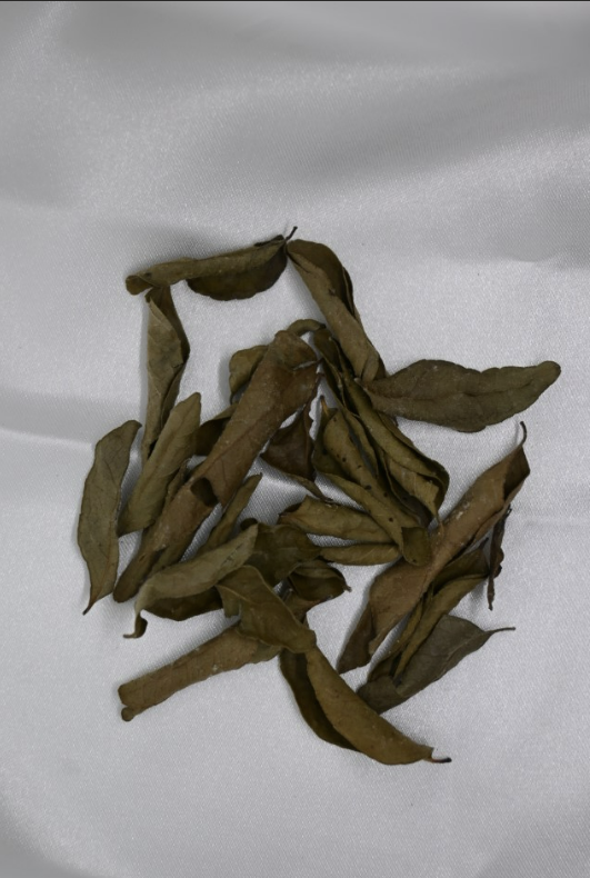 Infused Herbal Hair Growth Oil